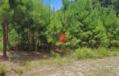 Terreno à venda, 360 m² por r$ 45.000,00 - balneário pinus park - arroio do sal/rs