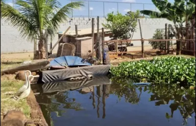 Linda chácara, próximo ao centro de paulínia,  com excelente localização
