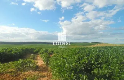 Fazenda à venda na 534, 534, Zona Rural, Cacequi