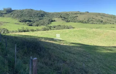 Fazenda à venda na Zona Rural, 154, Zona Rural, Caçapava do Sul