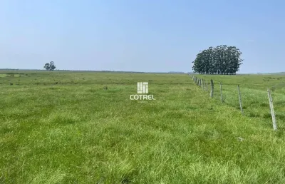 Fazenda para venda com 217 ha localizada na cidade de sant'ana do livramento/rs.