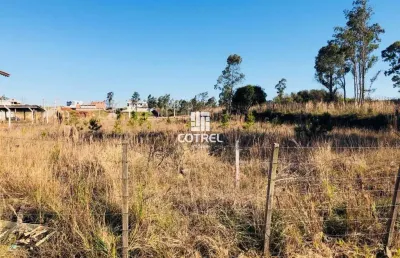 Terreno comercial com 3.000m² na avenida prefeito evandro behr (faixa velha de c