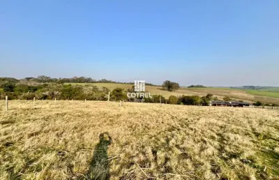 Chácara para venda com 10 hectares no distrito de pains