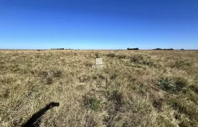Fazenda à venda na Br 290, 1, Área Rural de Alegrete, Alegrete