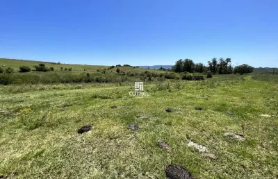Campo para venda no distrito de arroio do só com 17,5 hectares