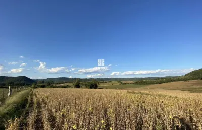 Campo para à venda com 28,54 hectares localizado em são martinho da serra/rs