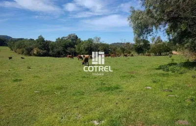 Campo para venda com 34 hectares a 18 km de santa maria/rs