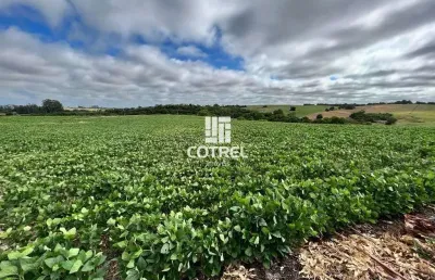 Campo para venda com 86 hectares localizado em caçapava do sul/rs.