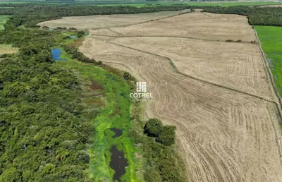 Chácara / sítio à venda na Zona Rural, S N, Zona Rural, São Sepé