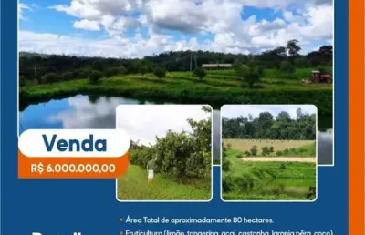 Fazenda à venda no Centro, Rio Preto da Eva 