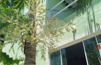 Casa com 3 quartos à venda na Felismina Cortez Pires, Serra Grande, Niterói
