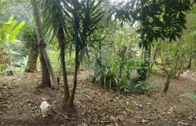 Terreno à venda na Estrada Caetano Monteiro, Badu, Niterói