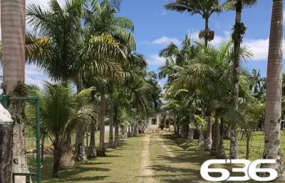 Chácara / sítio com 5 quartos à venda na Estrada Caminho Curto, Rio Bonito (Pirabeiraba), Joinville