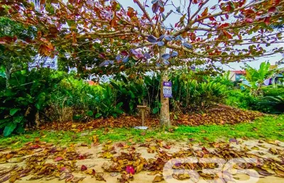 Terreno à venda na Rua Rua 16, Praia do Ervino, São Francisco do Sul