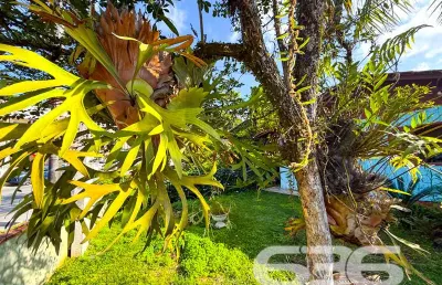 Casa com 3 quartos à venda na Rua Santa Catarina, 4310, Santa Catarina, Joinville