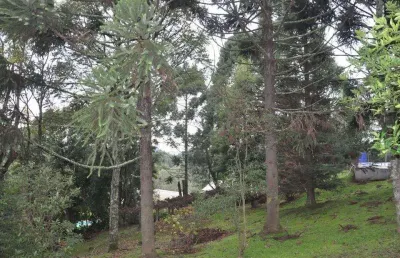 Chácara / sítio com 2 quartos à venda na Estrada Municipal Do Quilombo, Várzea Grande, Gramado