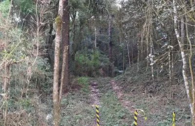 Chácara / sítio à venda na Rua Coronel Monteiro, Zona Rural, Campina Grande do Sul
