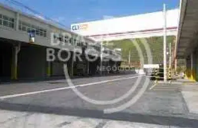 Barracão / Galpão / Depósito para alugar na Rodovia Coronel-Polícia Militar Nelson Tranchesi, Itaqui, Itapevi