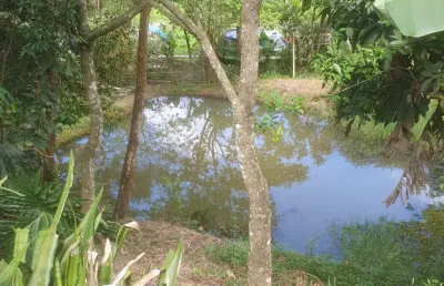 Chácara / sítio com 2 quartos à venda na Estrada Existente, Marmelo, Mairiporã