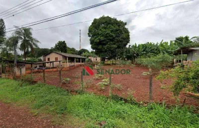 Chácara com 3 dormitórios à venda, 3000 m² por r$ 800.000,00 - gleba lindóia - londrina/pr