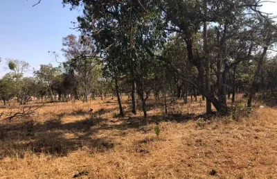 Chácara com 1 dormitório à venda, 21000 m² por r$ 1.150.000,00 - jockey park - uberaba/mg