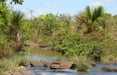 Fazenda à venda em brasilândia de minas - mg - sentido santa fé na mg190