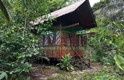 Ponto comercial à venda no tarumã, manaus , 7200 m2 por r$ 800.000