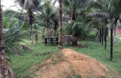 Terreno à venda na zona rural, rio preto da eva  por r$ 70.000