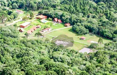 Pousada à venda, 801 m² por r$ 1.798.000,00 - bugre - balsa nova/pr
