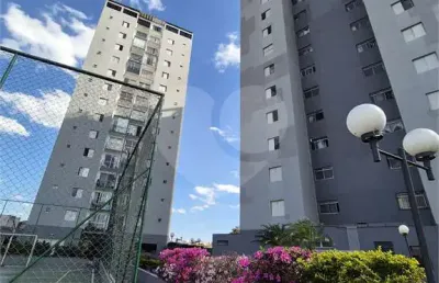 Cobertura com 3 quartos à venda em vila celeste - sp