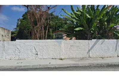 Terreno comercial para alugar na Rua Doutor Machado, 934, Campo Grande, Recife