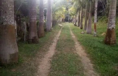 Chácara / sítio com 4 quartos à venda na Registro, Zona Rural, Registro
