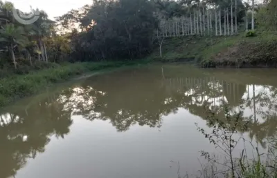 Chácara / sítio com 5 quartos à venda na Iguape, Centro, Iguape