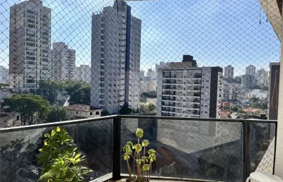 Apartamento com 3 quartos à venda em vila paulicéia - sp