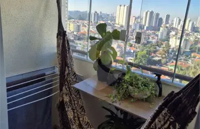 Apartamento com 3 quartos à venda em vila nova cachoeirinha - sp
