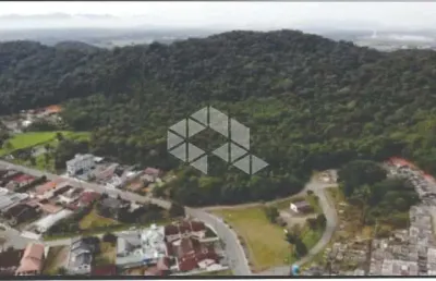 Terreno em pirabeiraba  com 101 mil metros quadrados com projeto de viabilidade para uso e ocupação do so, ótima localização, acesso direto a br - 101