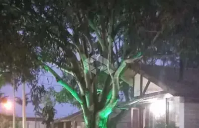 Casa à venda no bairro noiva do mar em xangri-lá com 3 quartos (1 suíte)