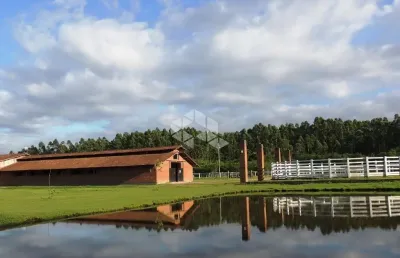 Cabanha de 63000 m² em região privilegiada em portão