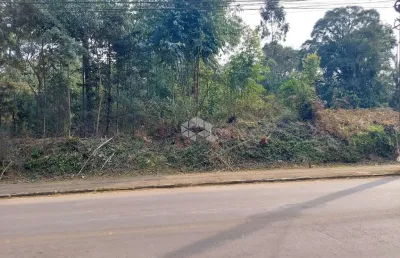 Terreno à venda na José Antônio Zanetti, 74, Tamandaré, Garibaldi