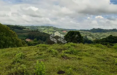 Chácara / sítio à venda na São Pedro, 10, Barracão, Bento Gonçalves
