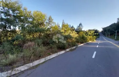 Terreno à venda na Rua Plauto de Abreu, 67, Santo Antão, Bento Gonçalves
