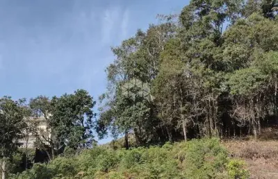 Terreno à venda na rua vereador lucindo joão andreola, 118, santo antão, bento gonçalves, 591 m2 por r$ 430.000