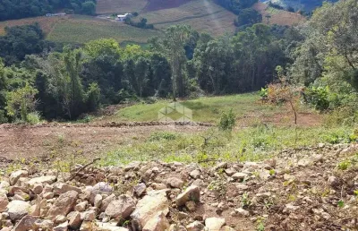 Chácara / sítio com 1 quarto à venda na Mario Salton, 10, Tuiuty (Distrito), Bento Gonçalves
