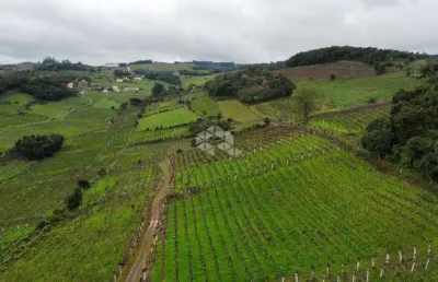 Área de terra na linha leopoldina vale dos vinhedos