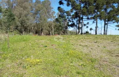 Vende-se encantadora propriedade onde cantam os pássaros, ao amanhecer. sítio, a 20 minutos do centro de bento gonçalves, rio grande do sul.