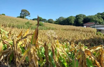 Terreno à venda na José Batista Medero, 2, Integração, Garibaldi