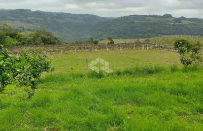 Chácara / sítio com 1 quarto à venda na Linha Argemiro, 41, Centro, Monte Belo do Sul