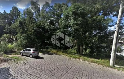 Terreno à venda na Armindo Schenatto, 206, Humaitá, Bento Gonçalves