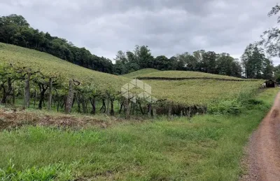 Chácara / sítio à venda na Da Uva E Do Vinho, 50, São Valentin, Bento Gonçalves