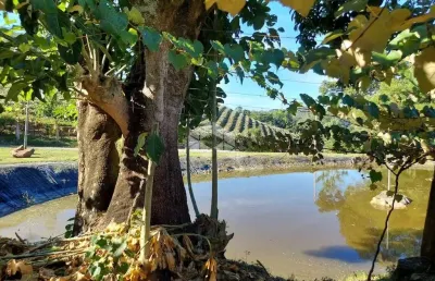Chácara / sítio com 1 quarto à venda na Via Trento, 50, Vale dos Vinhedos (Distrito), Bento Gonçalves